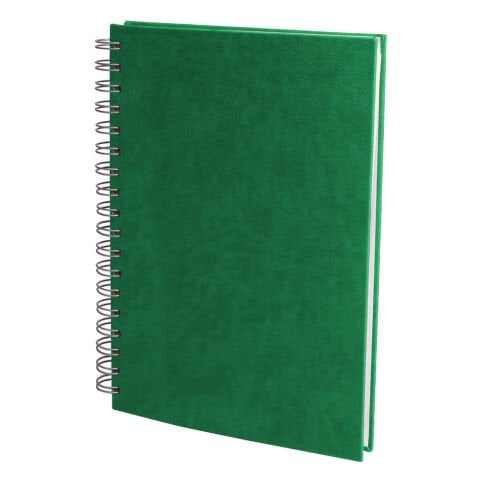 ALTINDAĞ YEŞİL KARELİ TARİHSİZ DEFTER (17X24 CM)