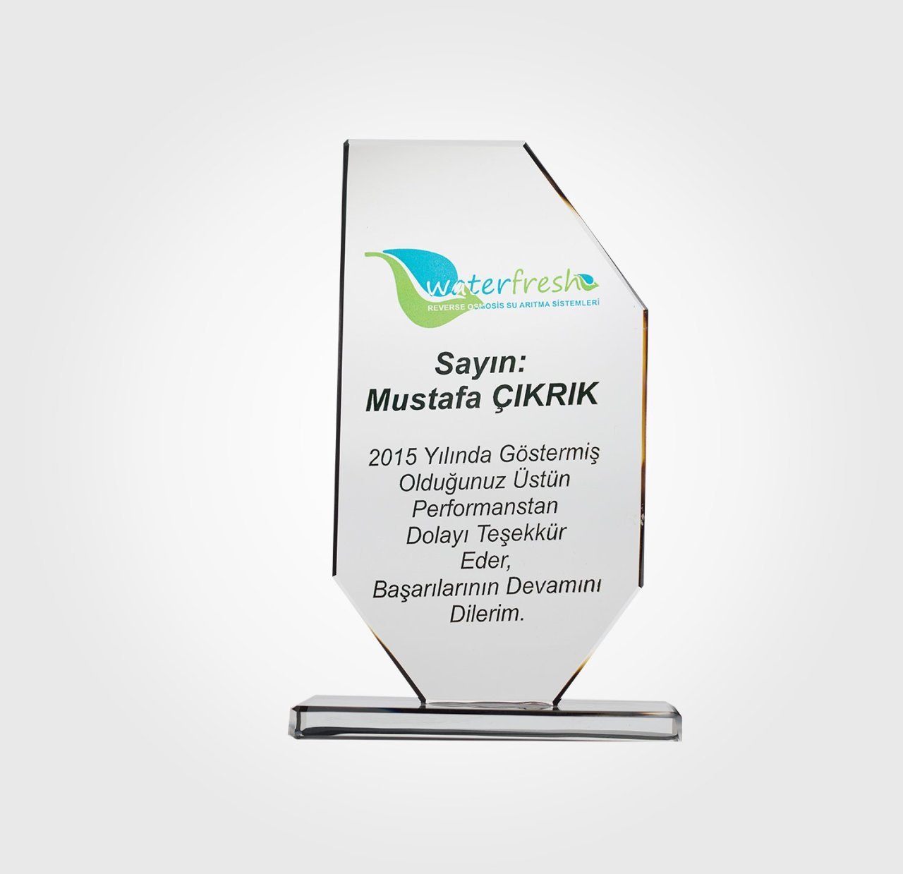 Kristal Başarı Plaketi