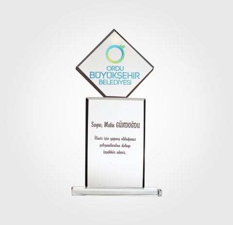 Büyükşehir Belediyesi Özel Plaket